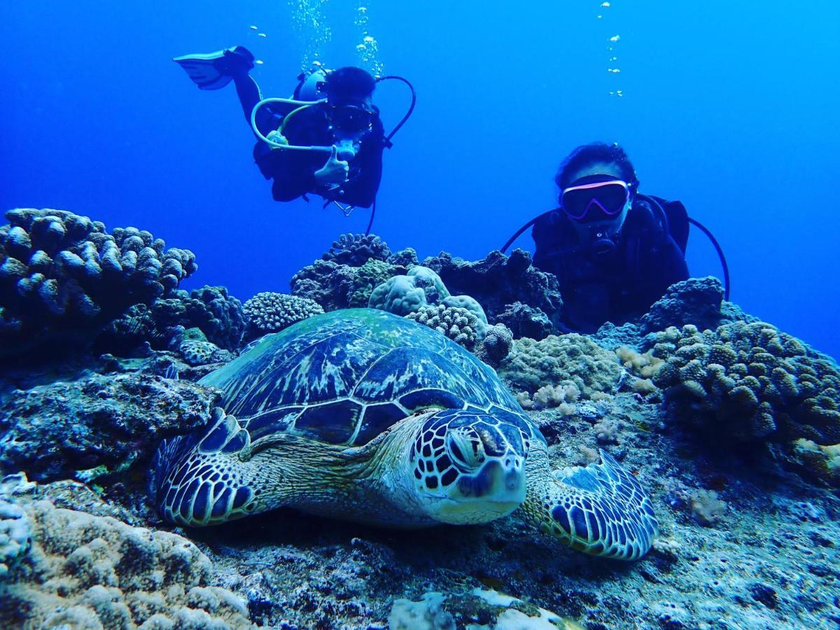 Good Hostel 好棧 Green Island Bagian luar foto